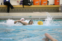 ILWP_08_Q4019
