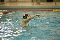 ILWP_08_Q4017