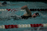 wiswg09_5free_2012