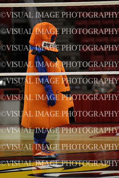 ILVBG_16_F130012