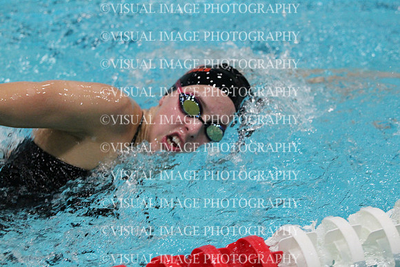 WISWG_15_S1009