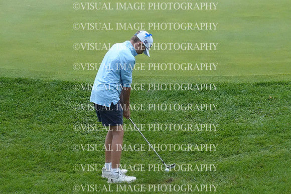 ILGF_26_T202008