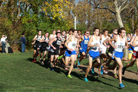 ILXC_15_30017