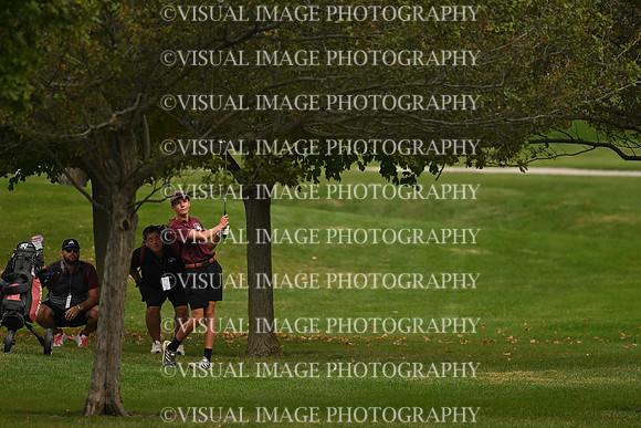 ILGF_26_IND10009