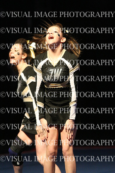 ILCHEER_15_L09035