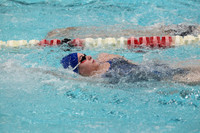 WISWG_15_S1019