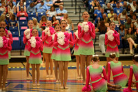 BMC26_OPENPOM_06013