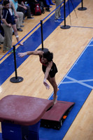 Vault