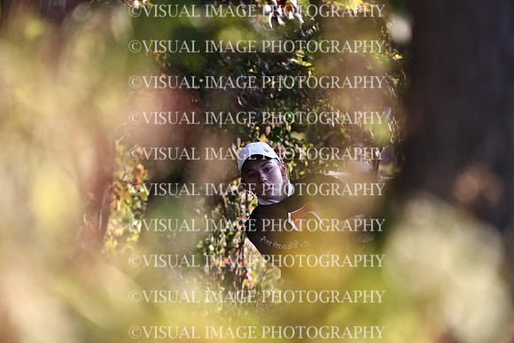 WIGFG_22_IND015