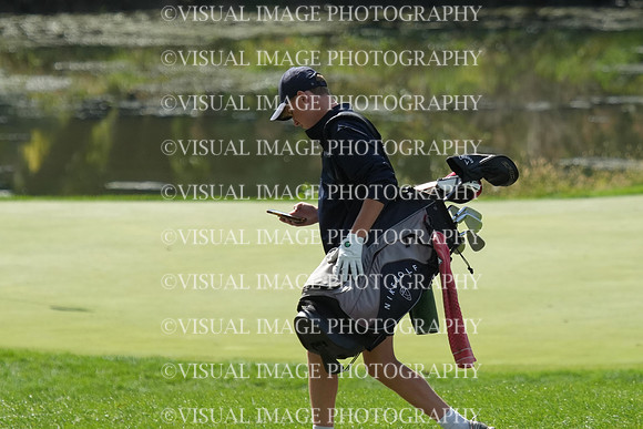 ILGF_26_T201017