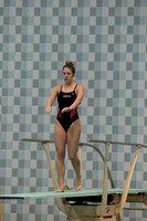 WISWG_15_D1001