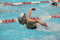 WISWG_15_S1005