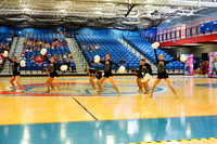 BMC26_OPENPOM_08008