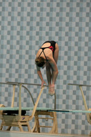 WISWG_15_D1005