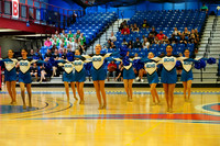 BMC26_OPENPOM_17012