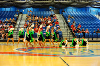 BMC26_OPENPOM_05017