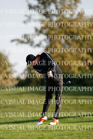 ILGF_16_T302043