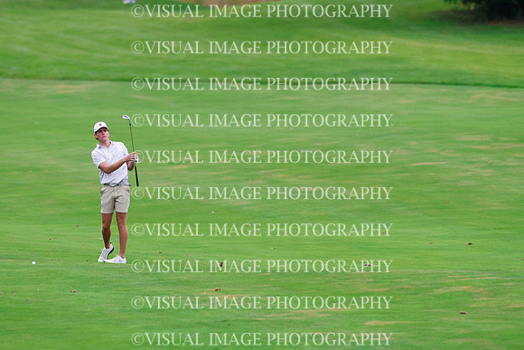 ILGF_26_IND30019