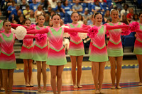 BMC26_OPENPOM_06010