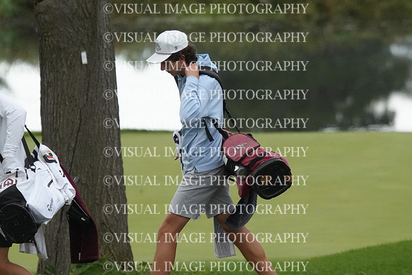 ILGF_26_T209013