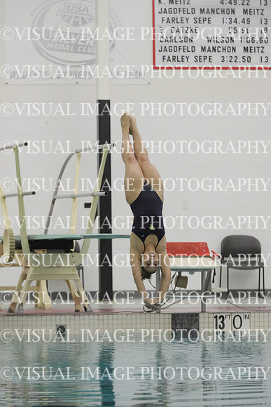 WISWG22_DIVE_2027