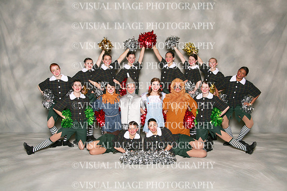 TDIHS12_POM_14002