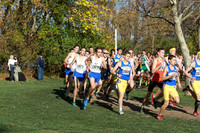 ILXC_15_30012