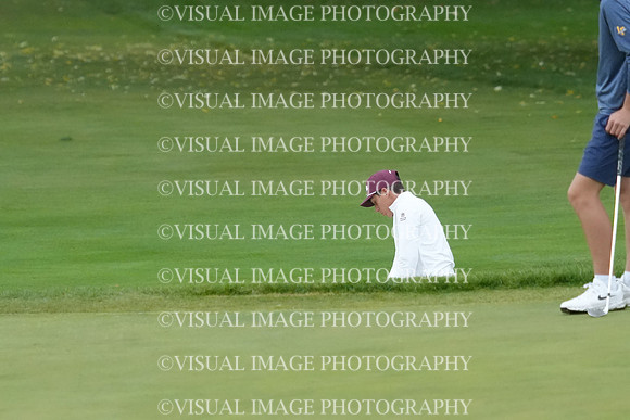 ILGF_26_T212009