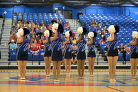 BMC26_OPENPOM_07007
