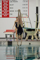 WISWG22_DIVE_2015