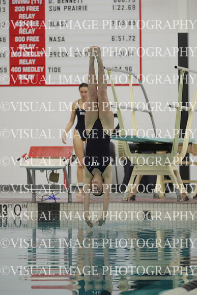 WISWG22_DIVE_2015