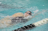 WISWG_22_20020