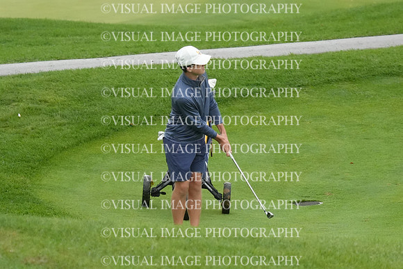 ILGF_26_T204026