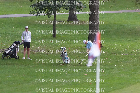 ILGF_26_T202002