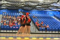 BMC26_OPENPOM_04016