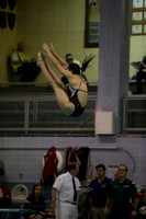 ILSWG15_DIVE_F006