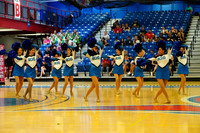 BMC26_OPENPOM_17009