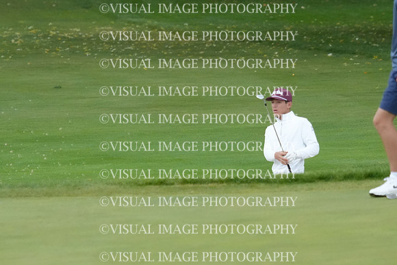 ILGF_26_T212016