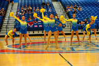 BMC26_OPENPOM_14011