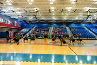 BMC26_OPENPOM_12007