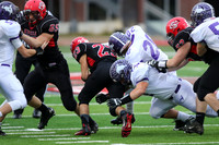 ILFB_15_10015