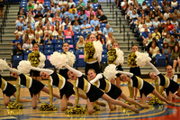 BMC26_OPENPOM_03019