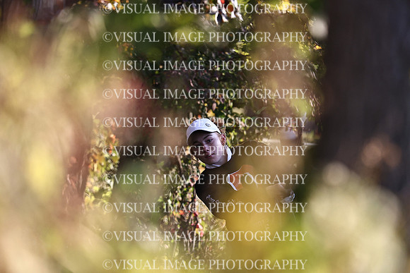 WIGFG_22_IND014