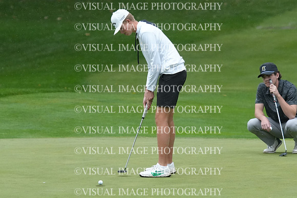 ILGF_26_T207029