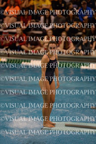 ILSWG15_DIVE_F017