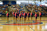 BMC26_OPENPOM_13001