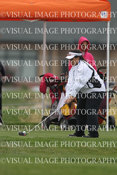 ILGFG_13_T110020
