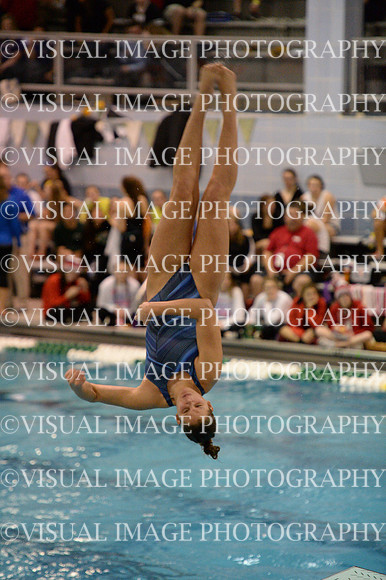 ILSWG15_DIVE_F024