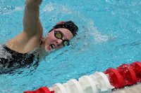 WISWG_15_S1010