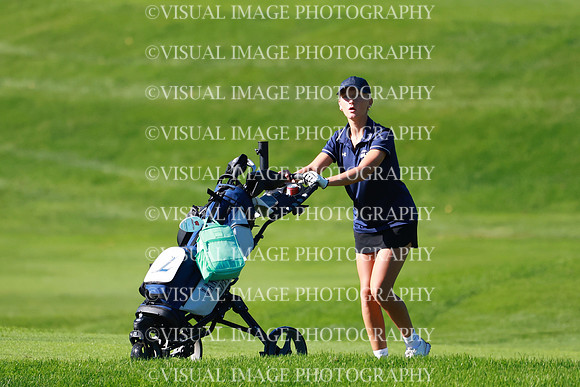 WIGFG_26_T204001